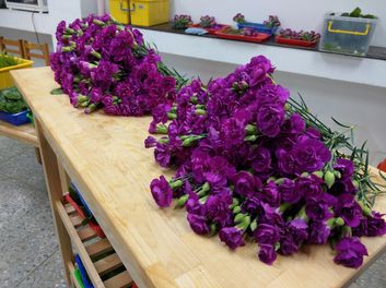 【母親節快樂，家庭日快樂】_全園活動