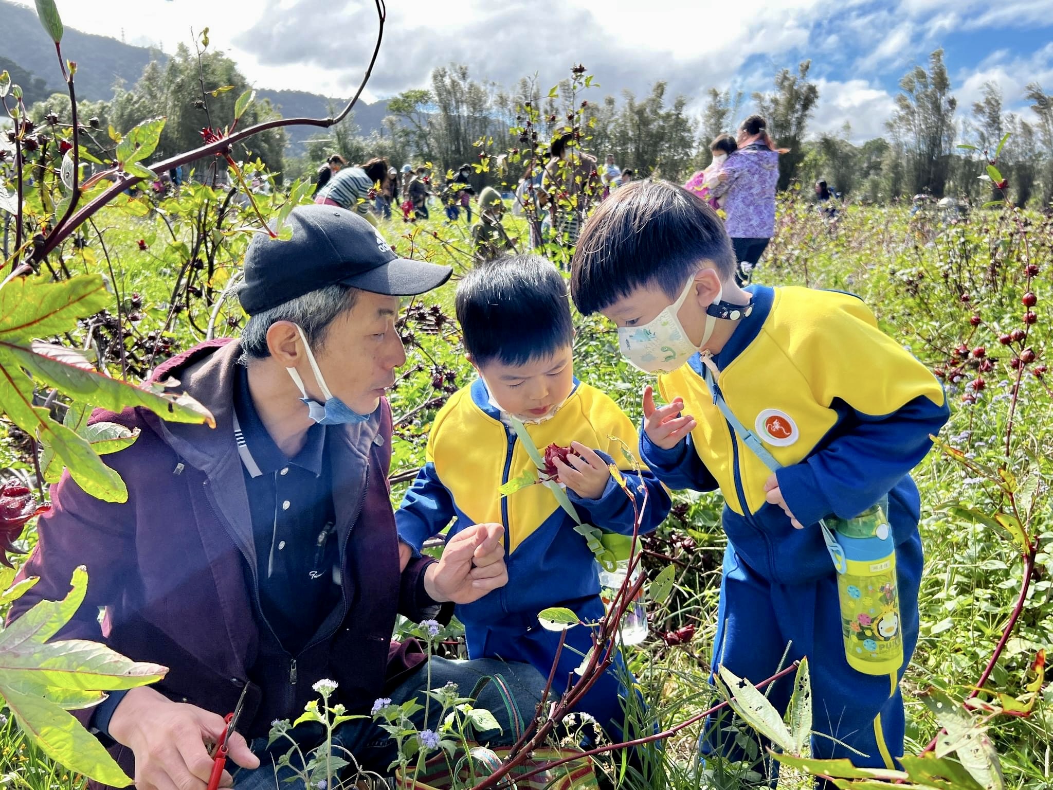 【花洛ME—尋找酸甜紅寶石】_校外教學