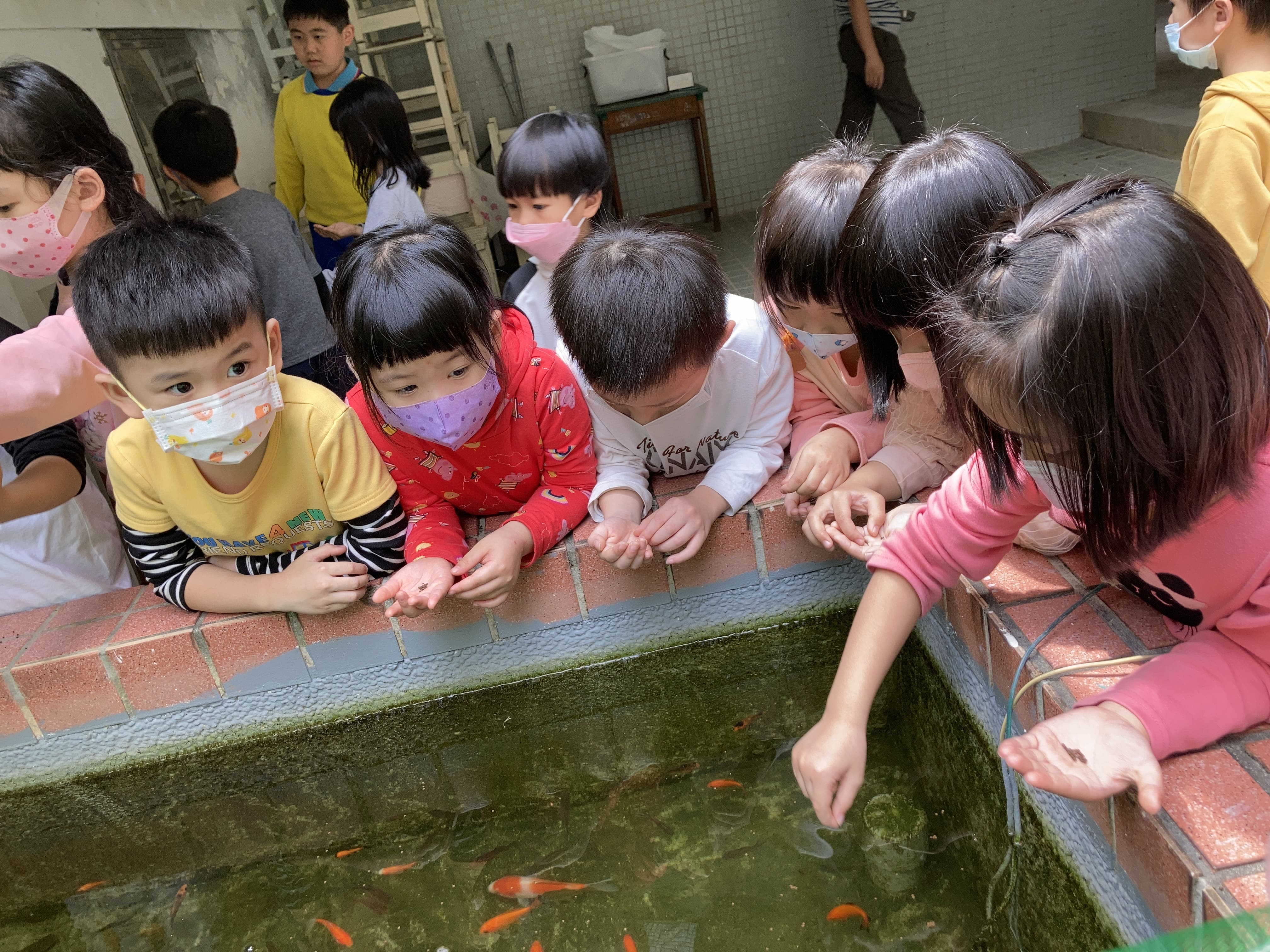 【愛在哪裡呢】_甲蟲班