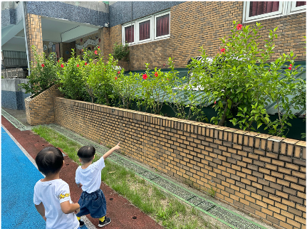 【「圓形」「圓形」在哪裡？】_蝴蝶班