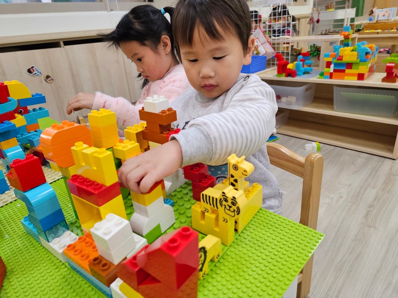 【我知道我想要做什麼】ˍ蜜蜂班